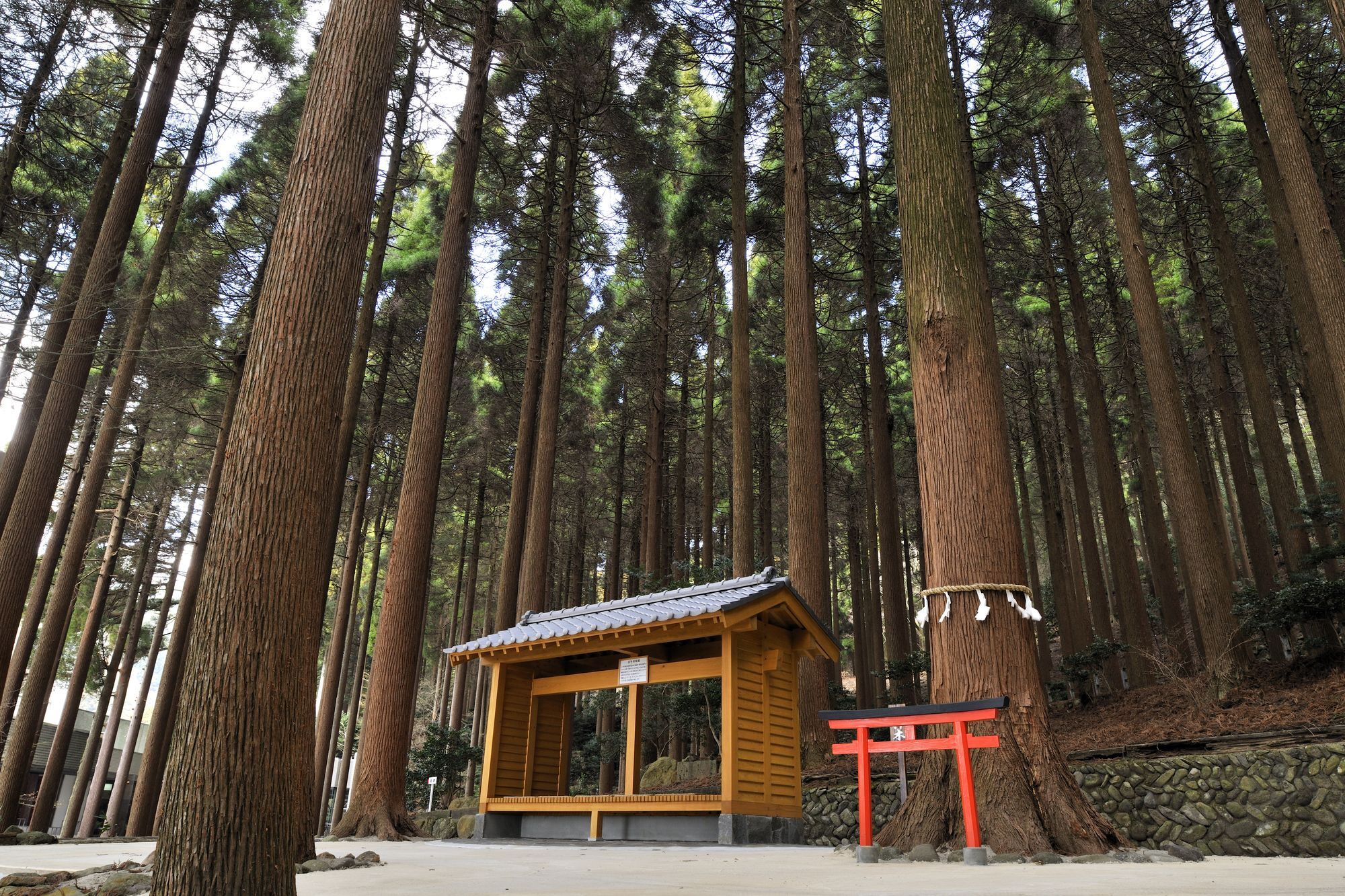 Kirishima Hotel Exterior photo